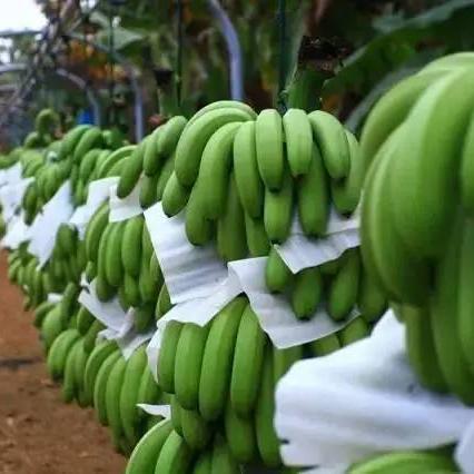 南宁市在哪个地方抓鱼好