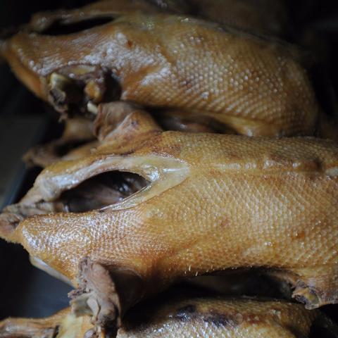 苏州常熟奥鹅多少钱一斤