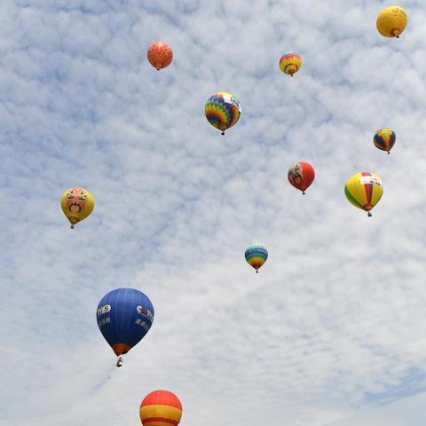 合肥市半汤属于哪里