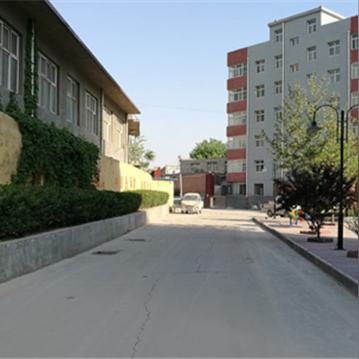 保定市的古树种的长尾关键词有哪些