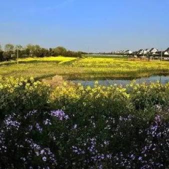 盘点上海市郊野公园相关关键词有哪些