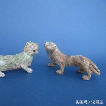 蛇头电影的长尾关键词是什么