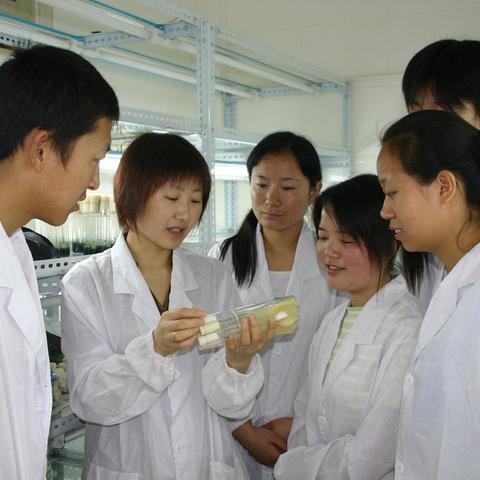 三峡旅游(三峡旅游职业技术学院)