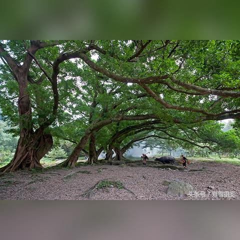 福建哪个洞有名