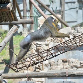 目前哪里的气温最低的长尾关键词有哪些