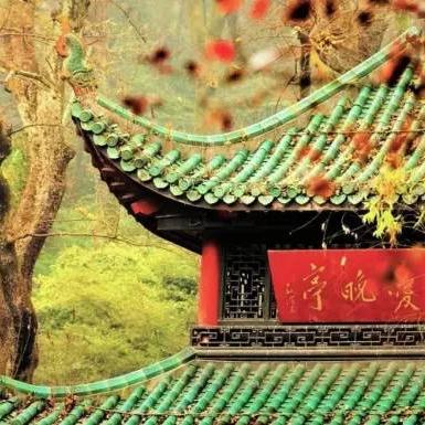长沙 垃圾焚烧相关长尾关键词有哪些
