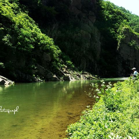 东莞市清溪镇二手鱼缸市场的长尾关键词有什么