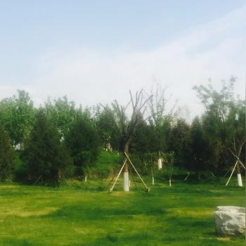 和平城市广场有什么故事？