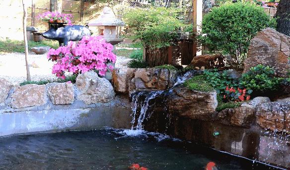 梦境之河，解析梦中女人捞大鲤鱼的深层含义