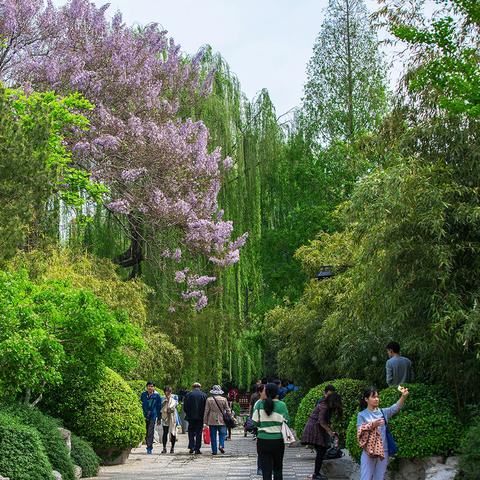 济南k51公交车相关长尾关键词有哪些