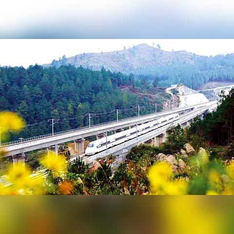 广东广州市有多少外国人