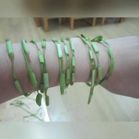 福建蓝蜻蜓公司怎么样