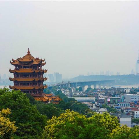 武汉市重点办是什么部门