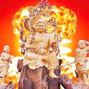 81年属鸡生肖今日运势(81年属鸡今日运势查询)