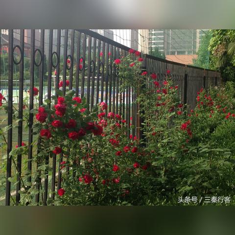 西安北站到高新二路协同大厦怎么走？
