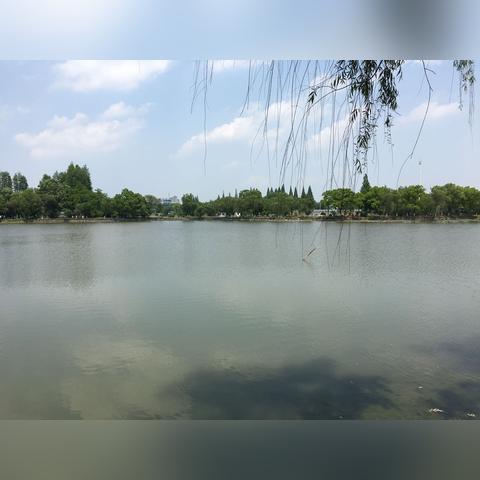 合肥市凌湖公园怎么样啊