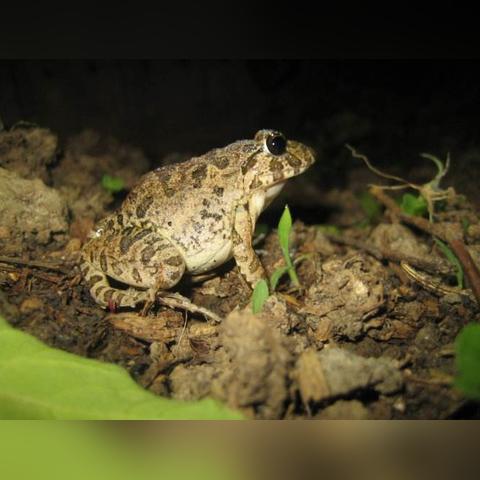 为什么有人说江西娶媳的彩礼特别重，福建嫁女的嫁妆特别多呢？