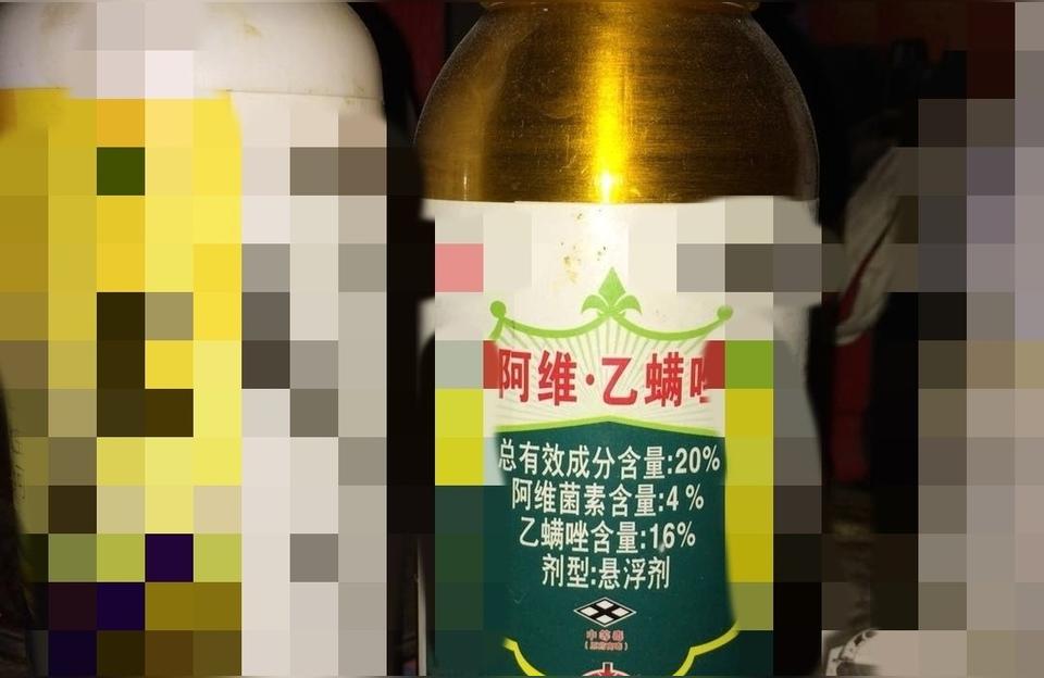 柑橘薊馬病蟲(chóng)害怎么防治_辛硫磷能殺柑橘薊馬嗎