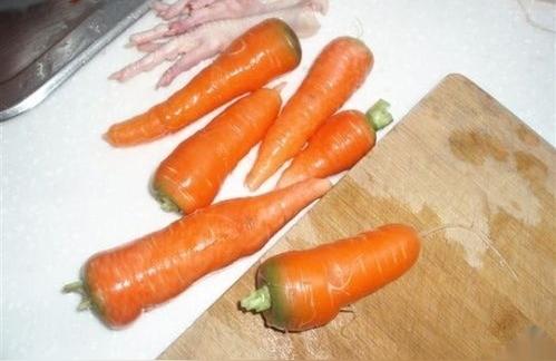 狗狗吃什么美食好（狗狗各个年龄段该喂什么狗粮）