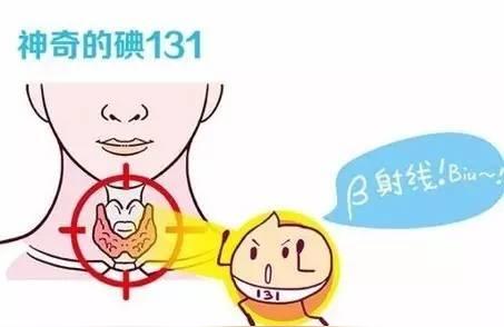 同位素文献同位素的分类