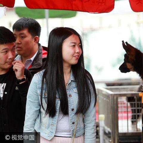 哈尔滨市宠物公园在哪里