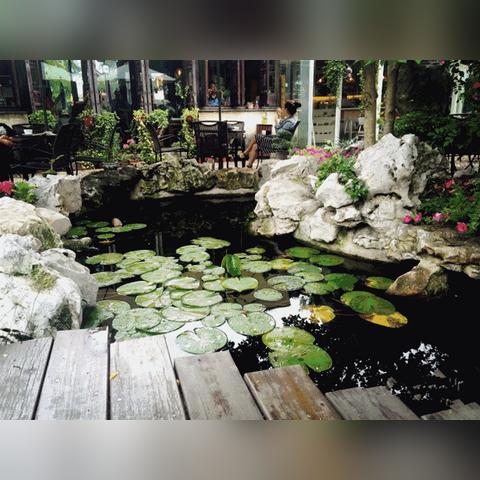 苏州市有什么特色餐厅