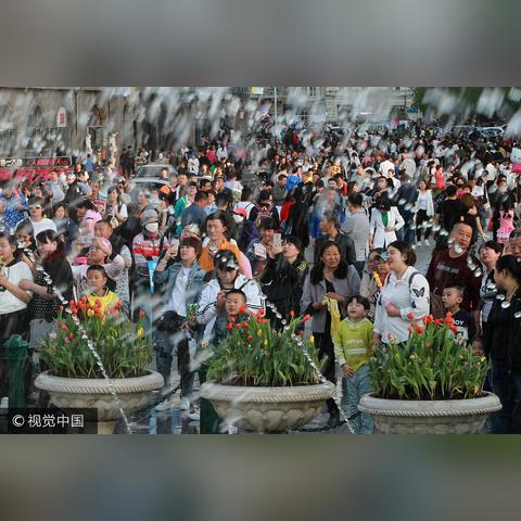 哈尔滨高中校园开放日相关长尾关键词有哪些