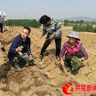 济南市鹏泉街道在哪个区