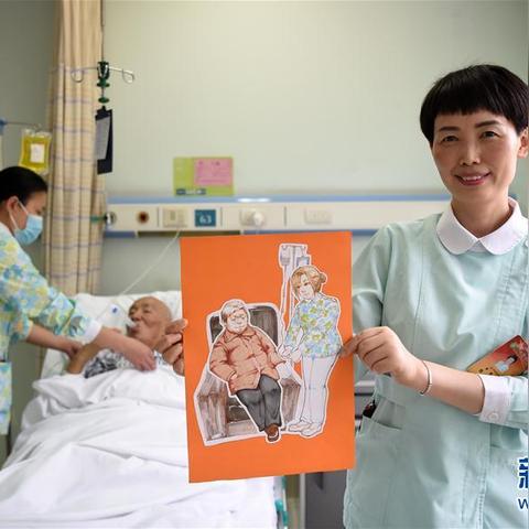 无锡市哪里邮寄宠物