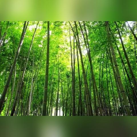 河南最美县城排名的相关长尾关键词有哪些