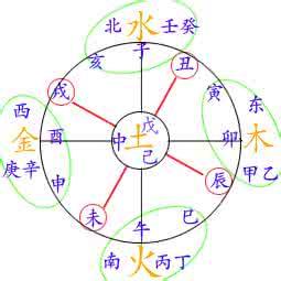 生辰八字里的天干地支是怎么互相影响的？
