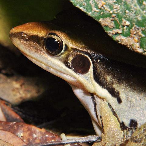 江西到福建快递多少钱的相关长尾关键词有哪些