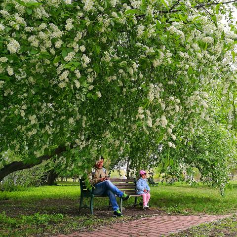 哈尔滨伏尔加庄园城堡相关长尾关键词有哪些