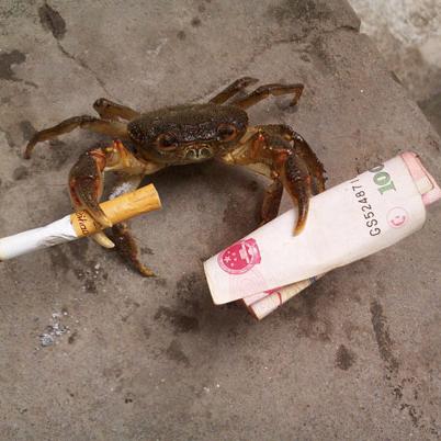 爆米花头型足球运动员的长尾关键词有什么