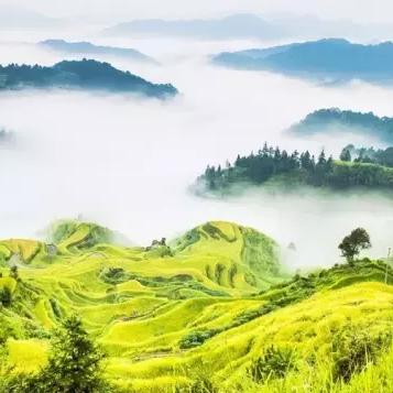 深圳，中山公园海拔高度？