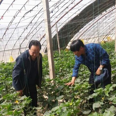 兰州吃不吃韭菜盒子的相关长尾关键词有哪些