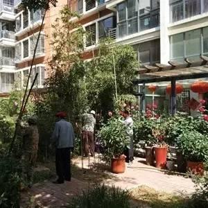 济南市查违建哪里管