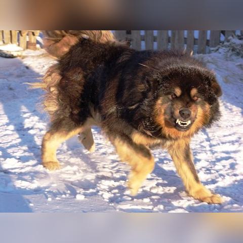 测测你的八字里藏着几个小宝贝