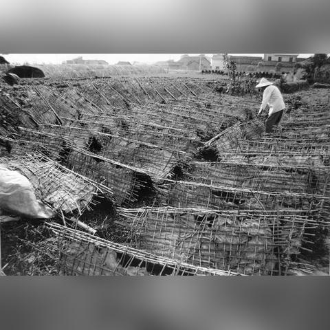 温州市携欧服饰的长尾关键词有哪些