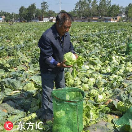 河南哪个城市适合销售