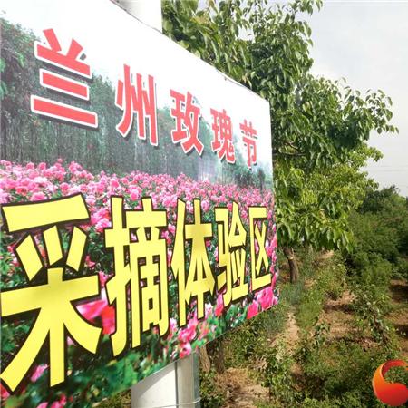 兰州市的蔷薇园在哪里啊