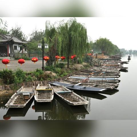 济南市莲藕基地在哪里啊