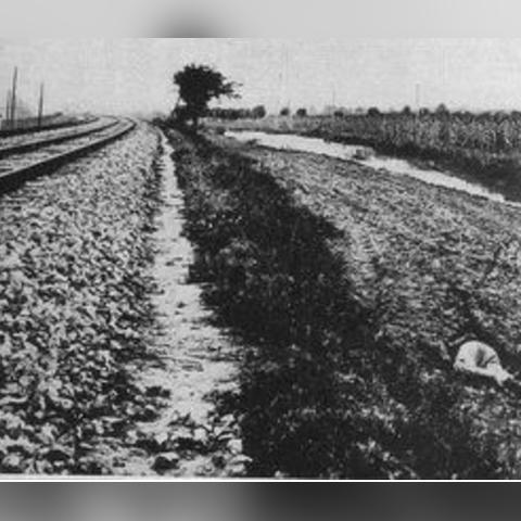 沈阳市偏远吗是哪个区