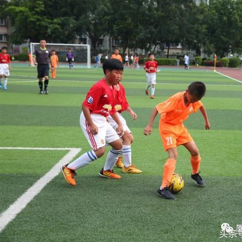 厦门市殿前社在哪个区