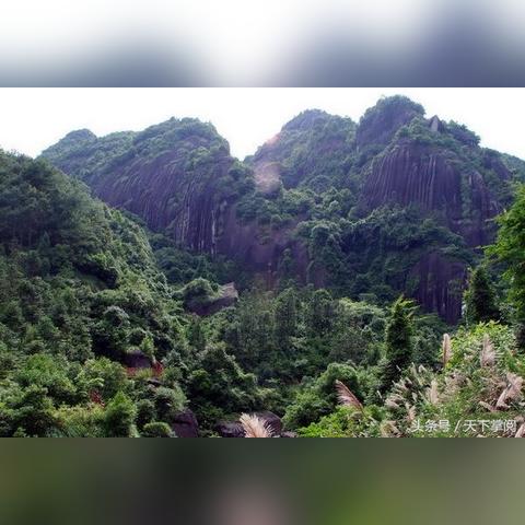 福建气候适宜吃什么