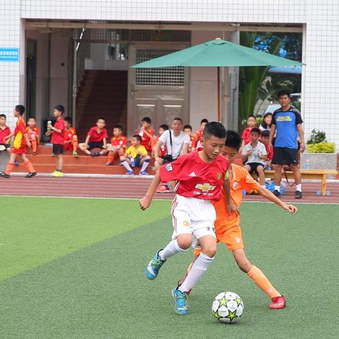 厦门市殿前村属于哪个区