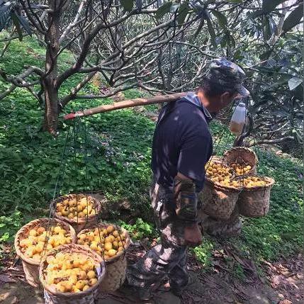 [苏州城风水]长尾关键词有什么