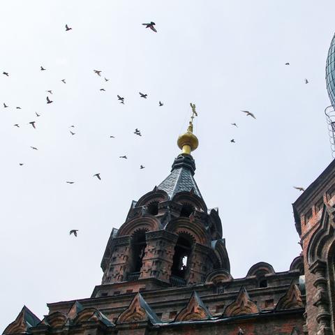 哈尔滨博爱宾馆相关长尾关键词有哪些