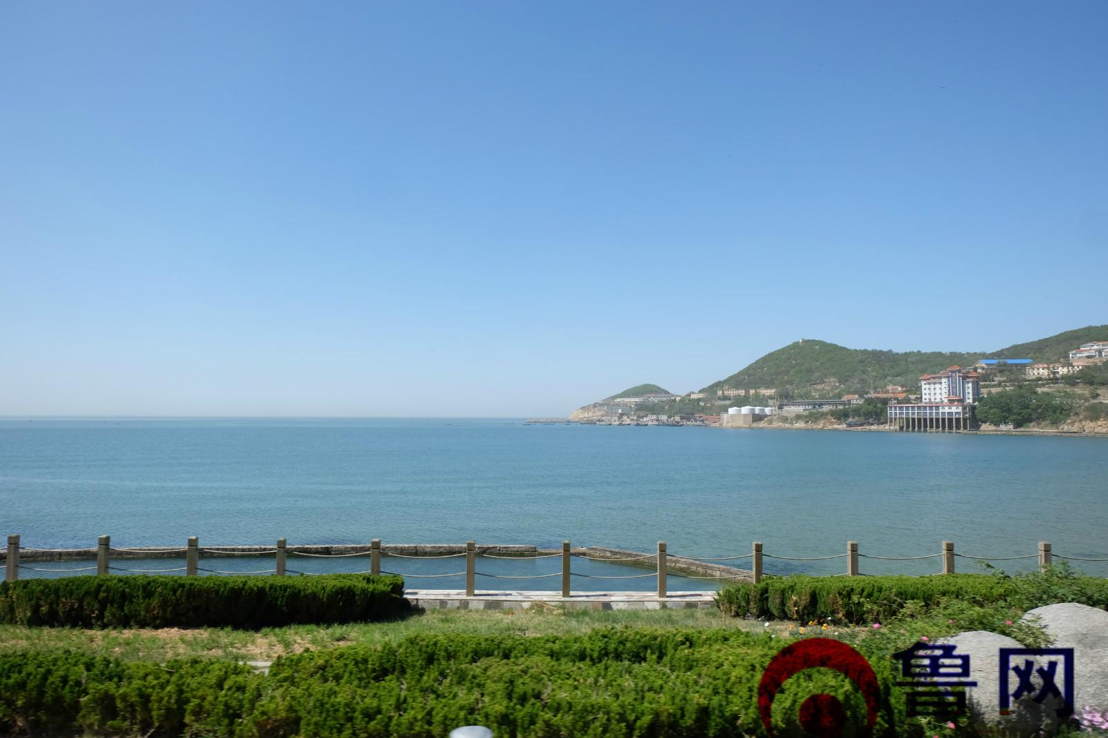 宝宝巴士起名,有没有哪一部电影让你从头笑到结局哭了