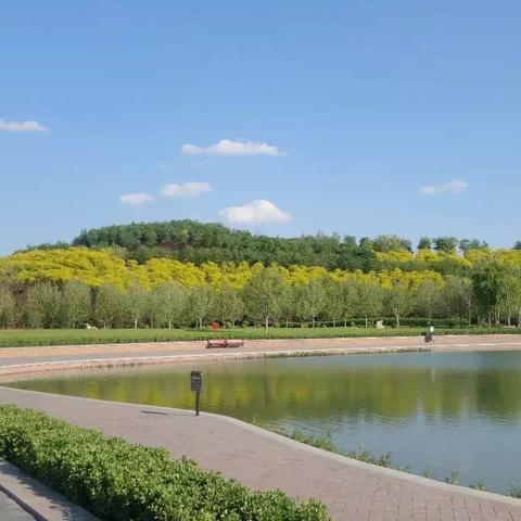 石家庄市哪里有草坪